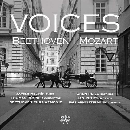 Album cover: Voices